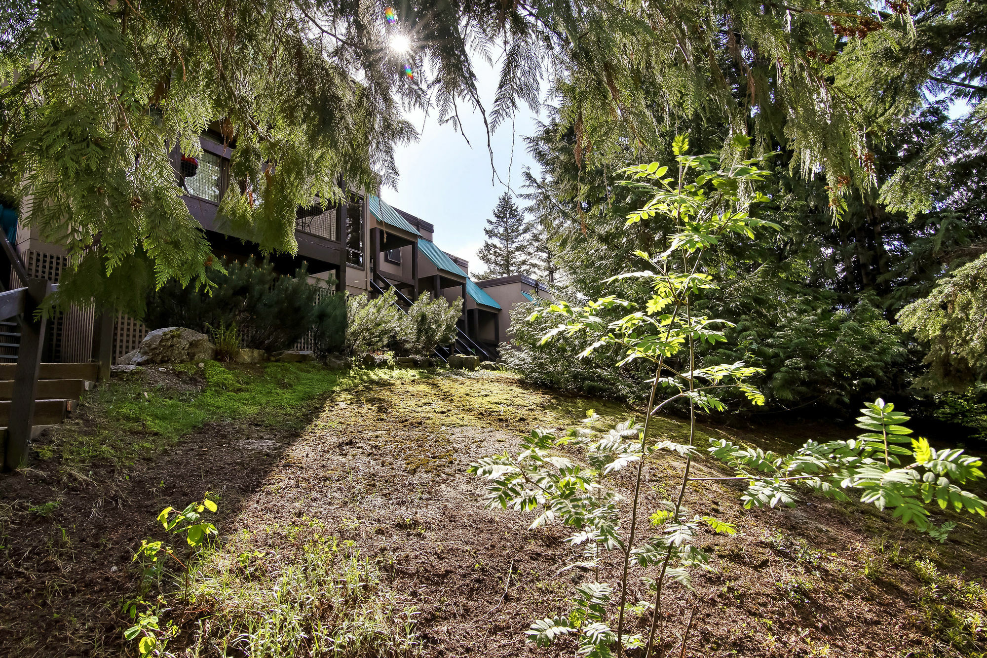Whiski Jack Creekside Whistler Buitenkant foto